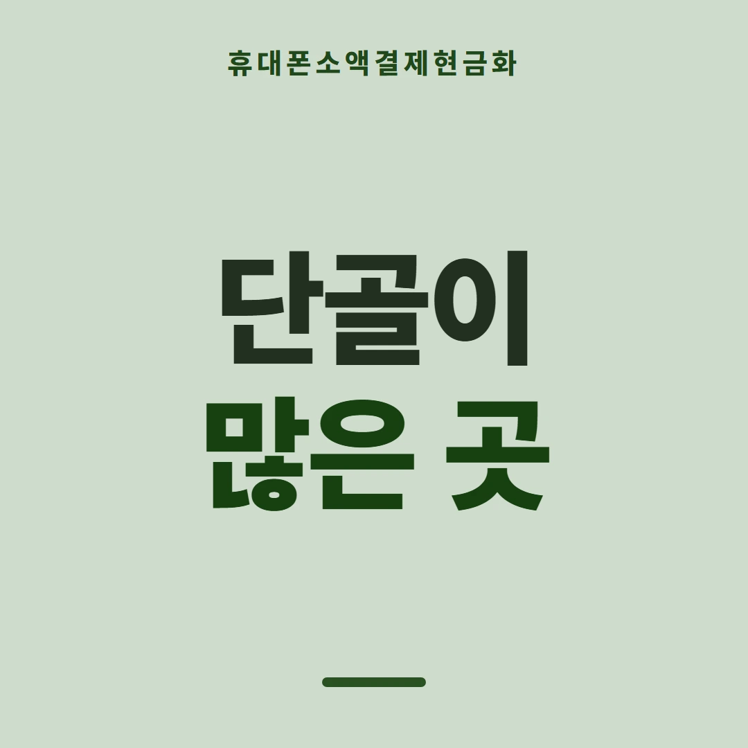 품티켓 휴대폰 회선의 소액결제현금화 차단과 복구 안내 이미지